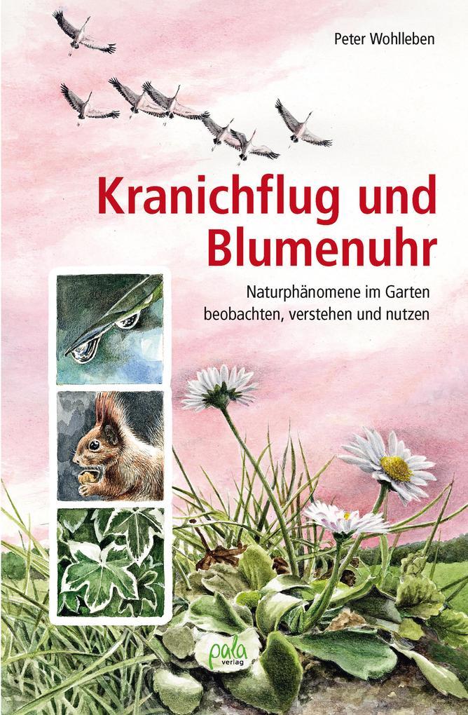 Kranichflug und Blumenuhr