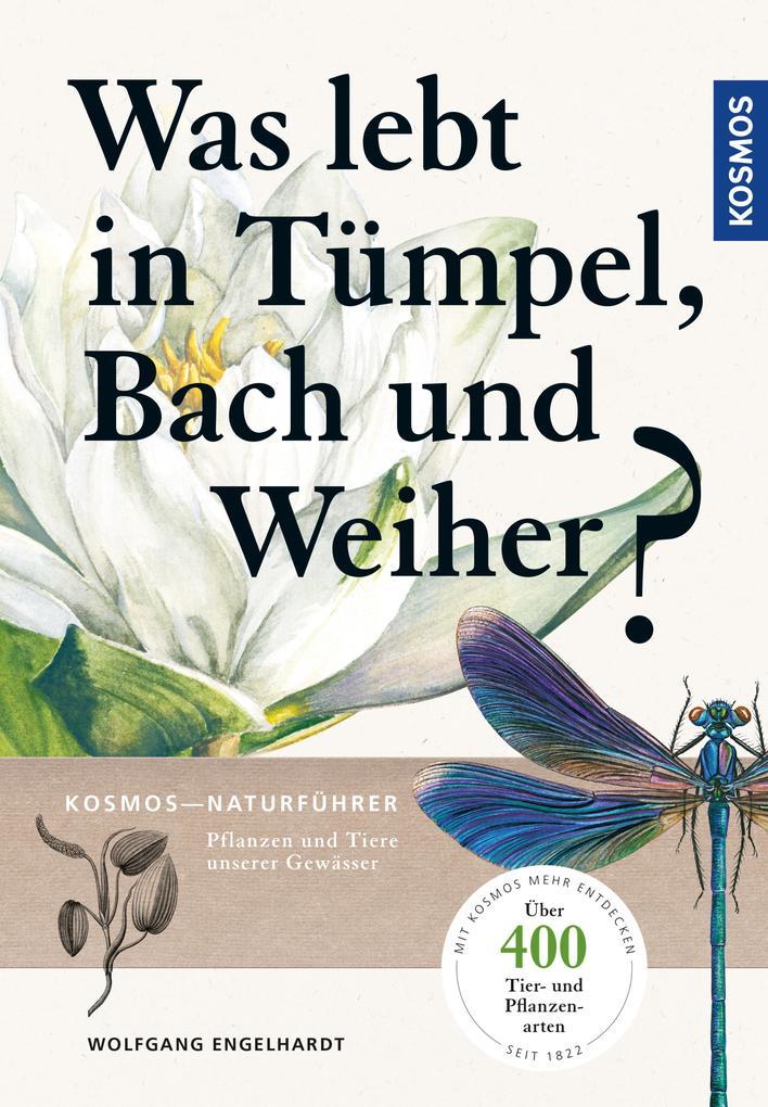 Was lebt in Tümpel, Bach und Weiher