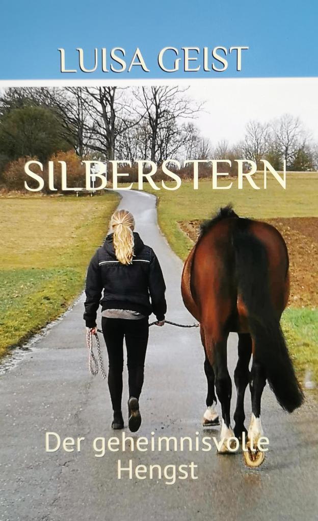 Silberstern