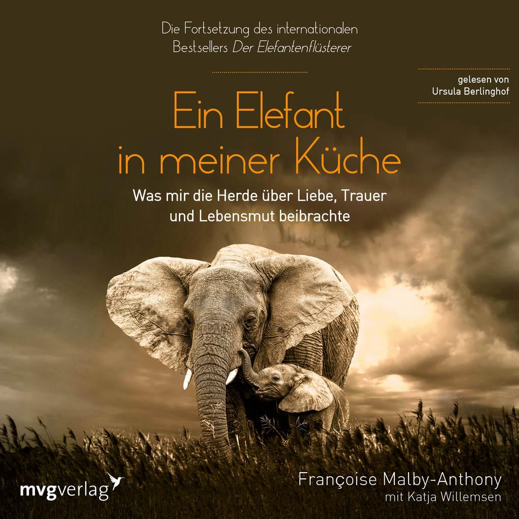 Ein Elefant in meiner Küche