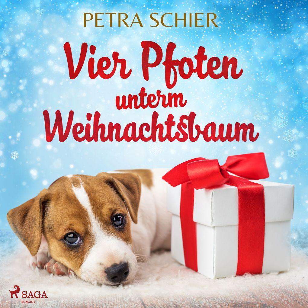 Vier Pfoten unterm Weihnachtsbaum