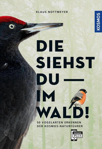 Die siehst du im Wald! 64 Vogelarten erkennen