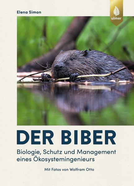 Der Biber