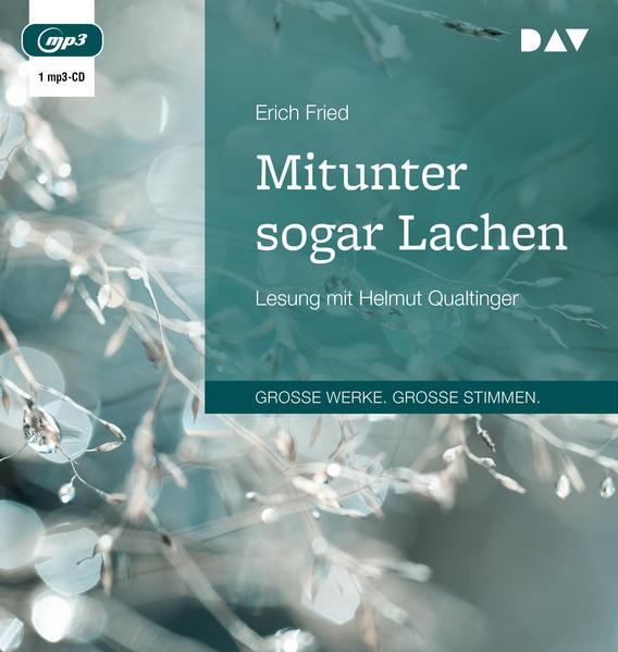 Mitunter sogar Lachen, 1 Audio-CD, 1 MP3