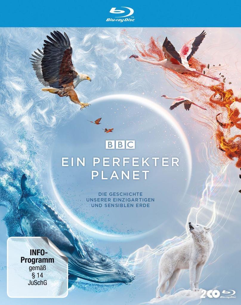 Ein perfekter Planet