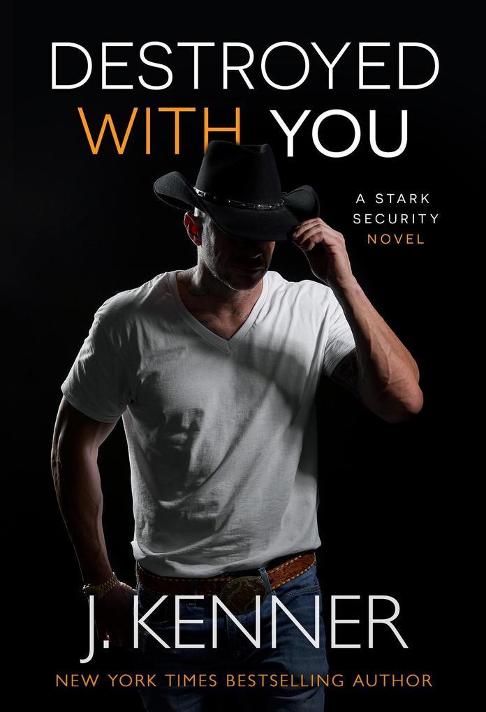 Destroyed With You (Stark Security, #5)