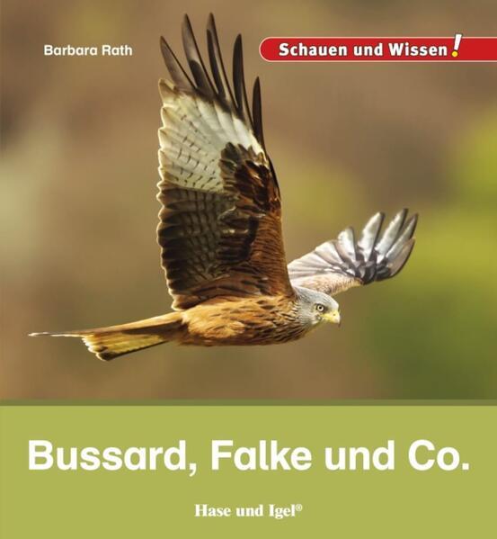 Bussard, Falke und Co.