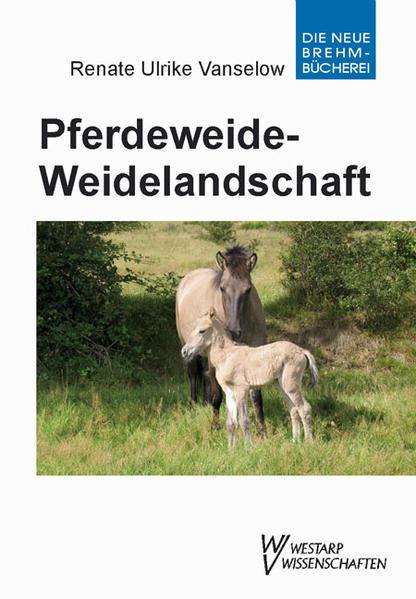 Pferdeweide-Weidelandschaft