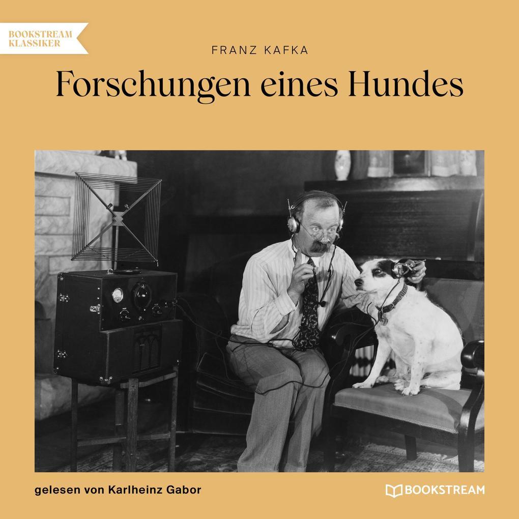 Forschungen eines Hundes