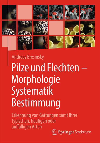 Pilze und Flechten Morphologie, Systematik, Bestimmung