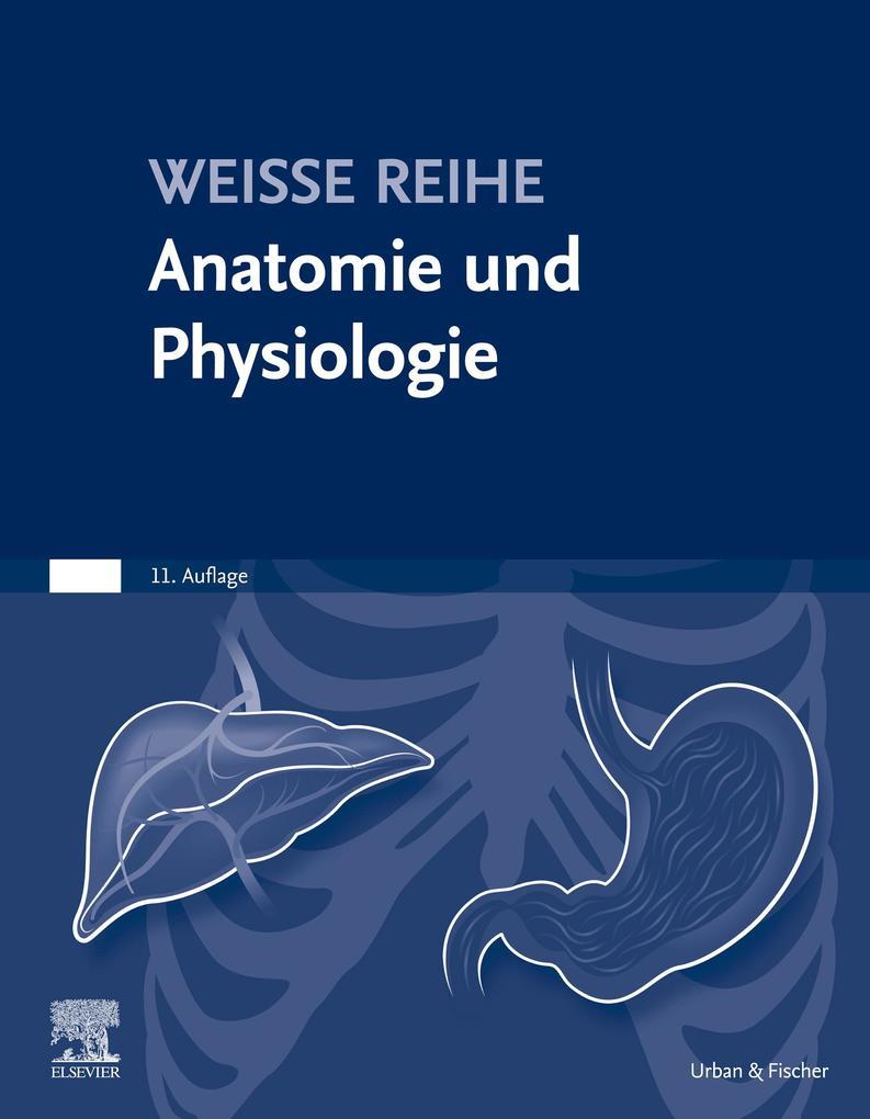 Anatomie und Physiologie