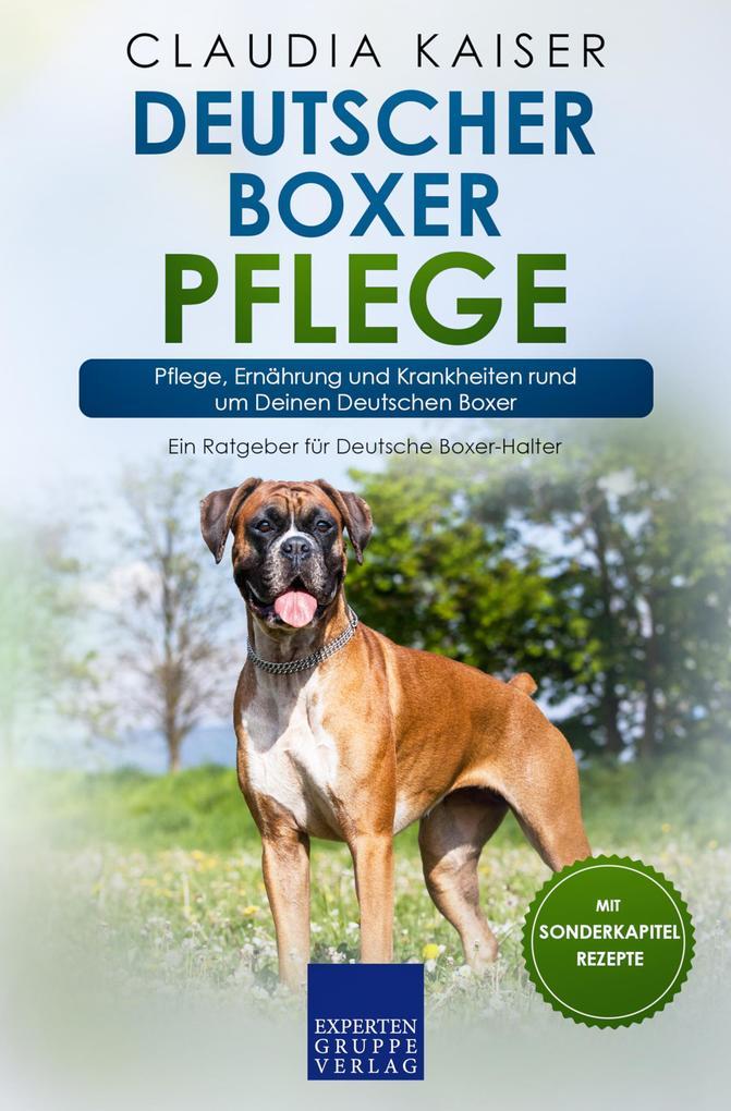 Deutscher Boxer Pflege