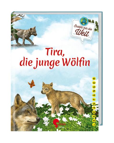 Tira, die junge Wölfin