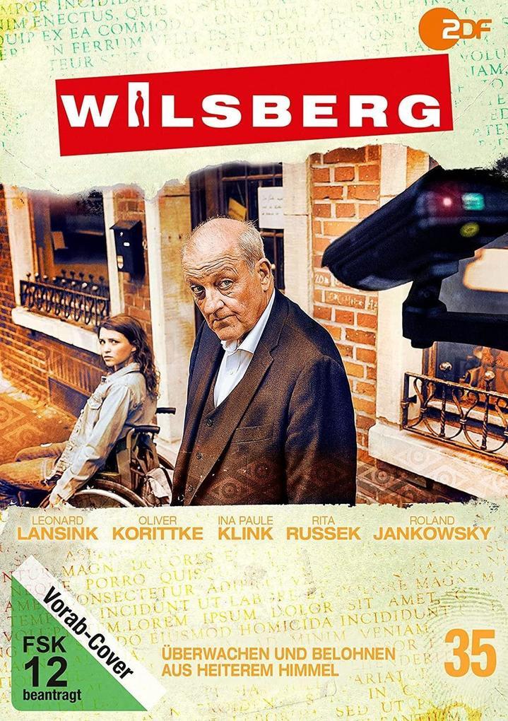 Wilsberg - Überwachen und belohnen / Aus heiterem Himmel, 1 DVD