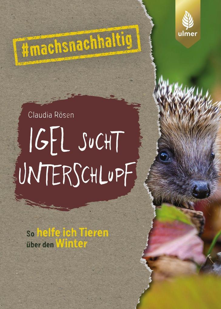 Igel sucht Unterschlupf