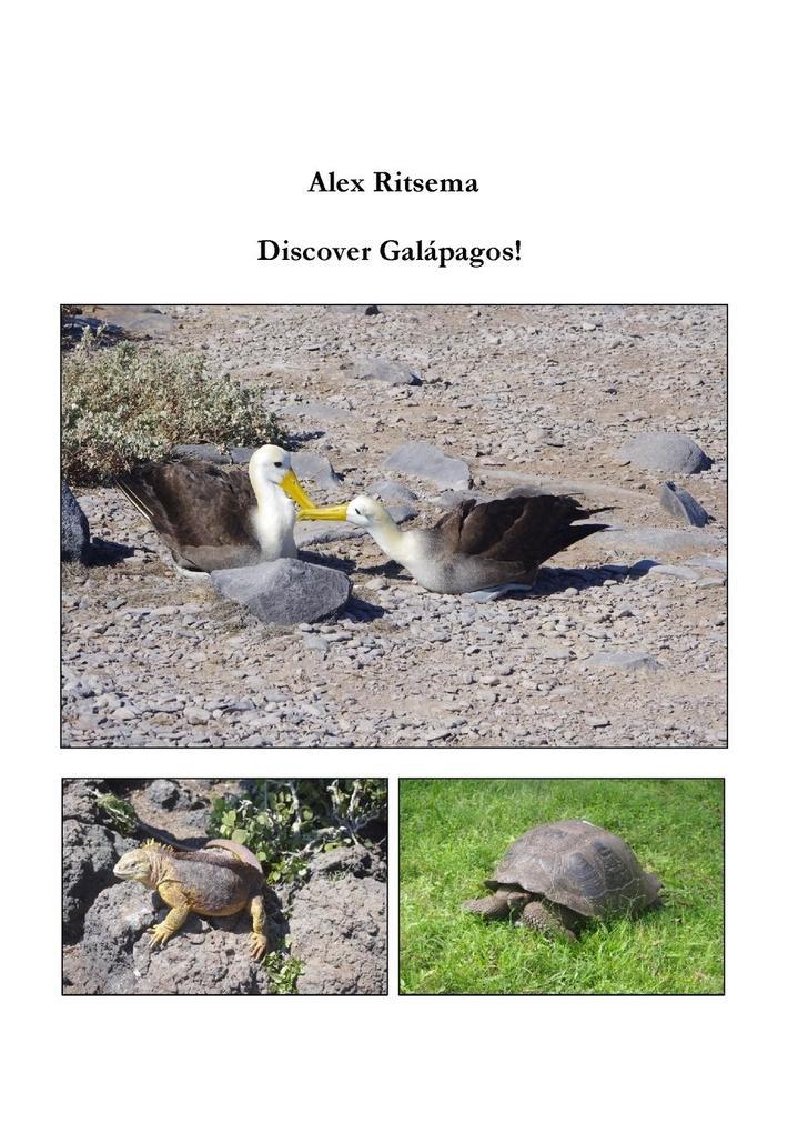 Discover Galápagos!