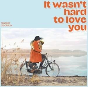 It wasn't hard to love you (180g)