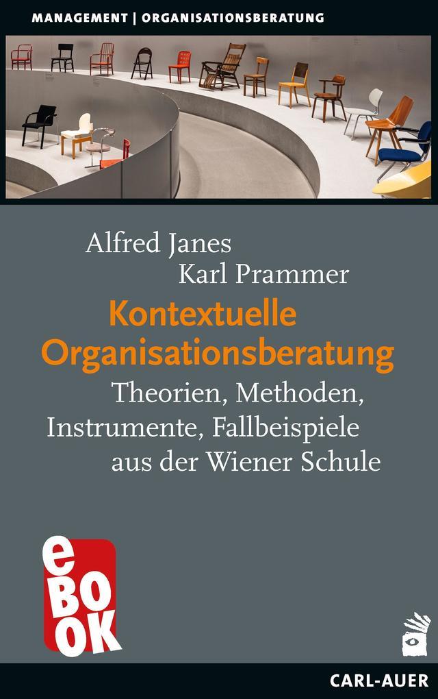 Kontextuelle Organisationsberatung