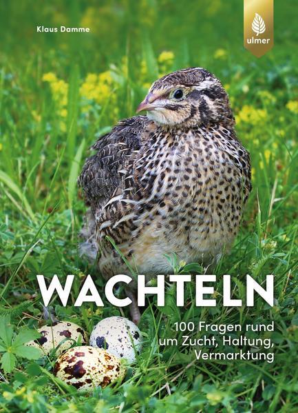 Wachteln