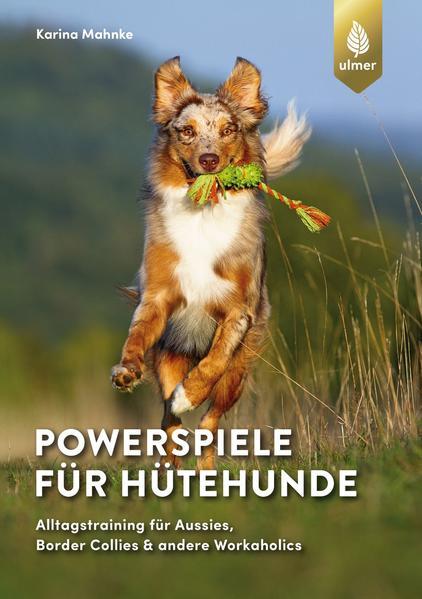 Powerspiele für Hütehunde