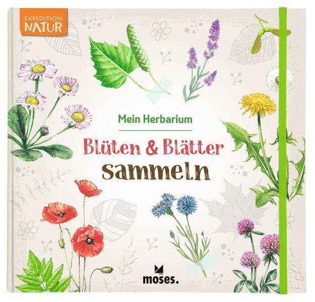 Blüten & Blätter sammeln