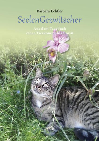 SeelenGezwitscher