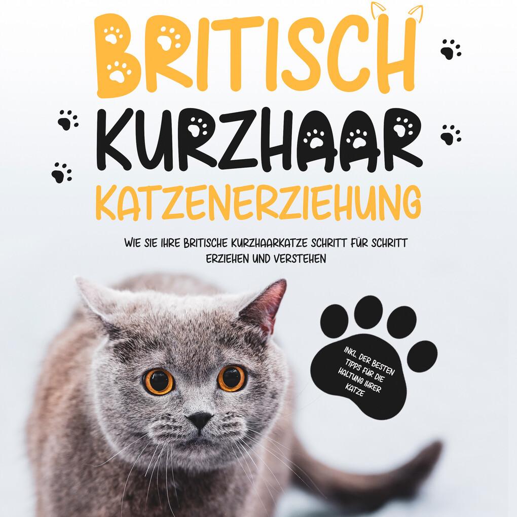 Britisch Kurzhaar Katzenerziehung: Wie Sie Ihre britische Kurzhaarkatze Schritt für Schritt erziehen und verstehen ' inkl. der besten Tipps für die Haltung Ihrer Katze