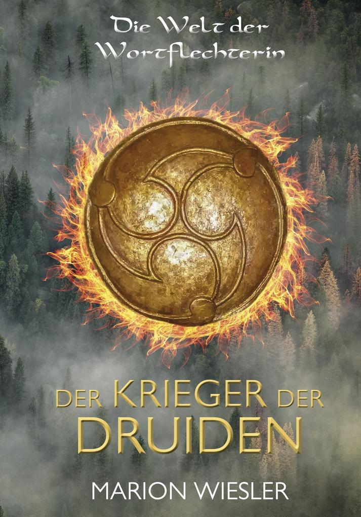 Der Krieger der Druiden