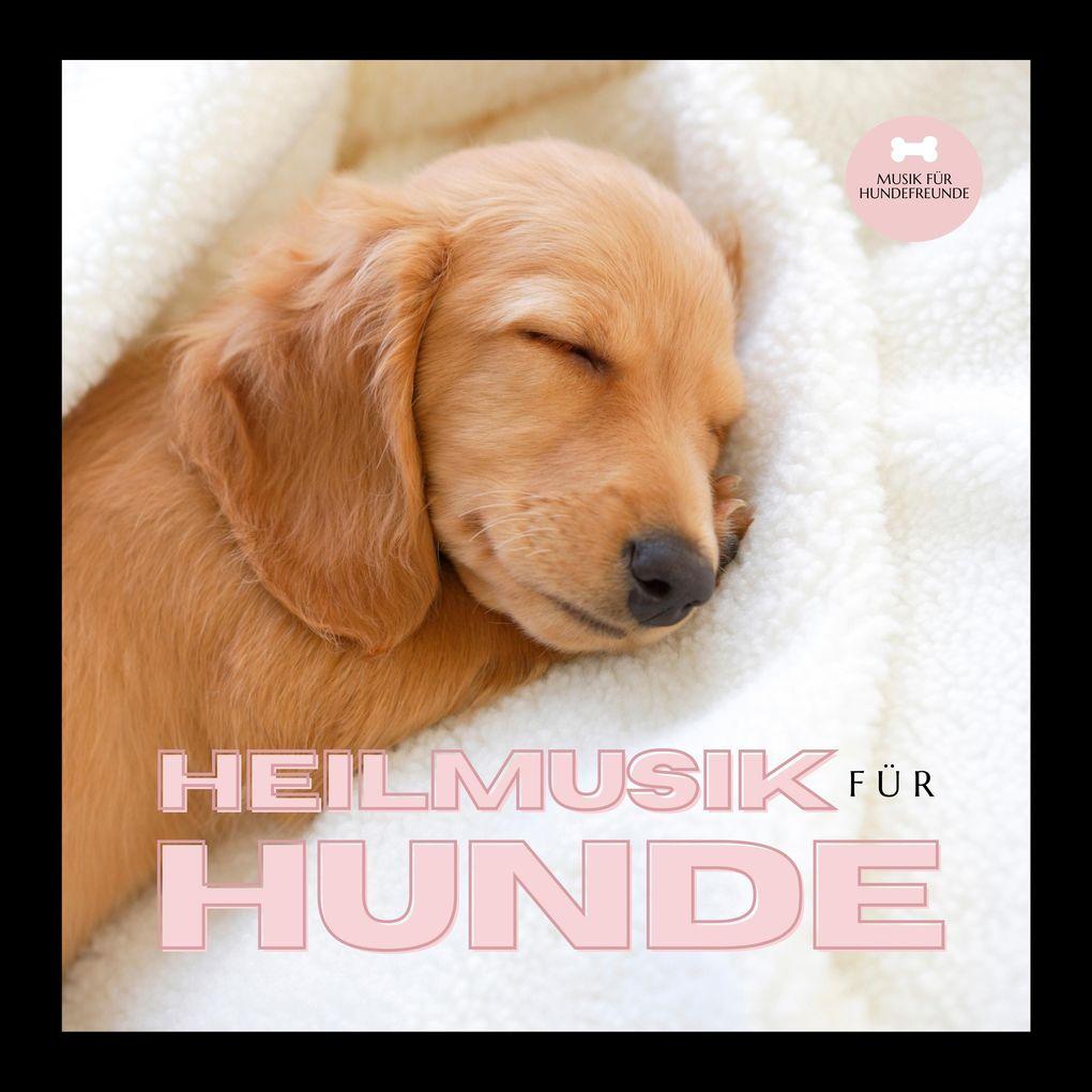 Heilmusik für Hunde