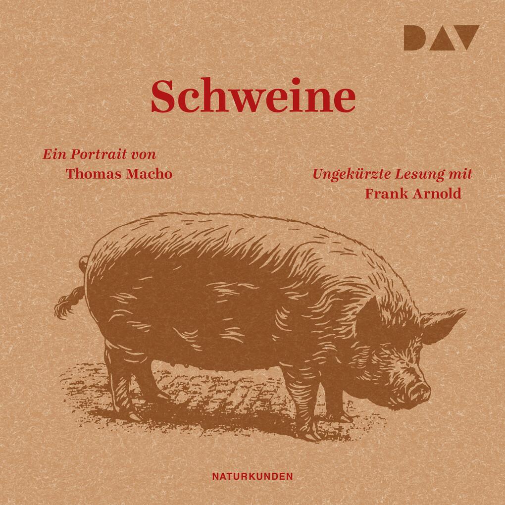 Schweine. Ein Portrait