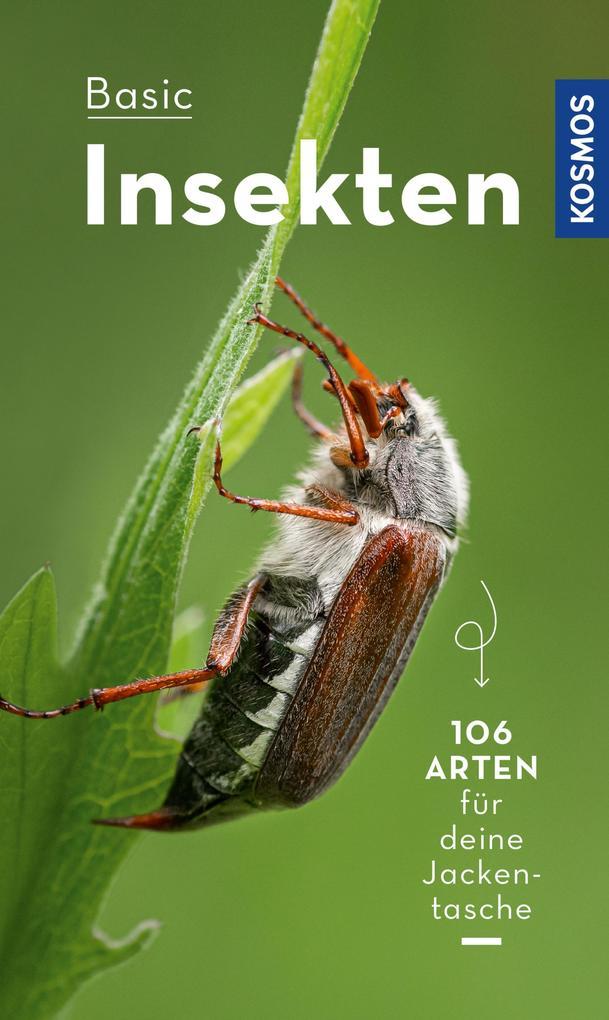 BASIC Insekten