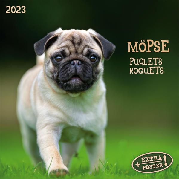 Möpse 2023