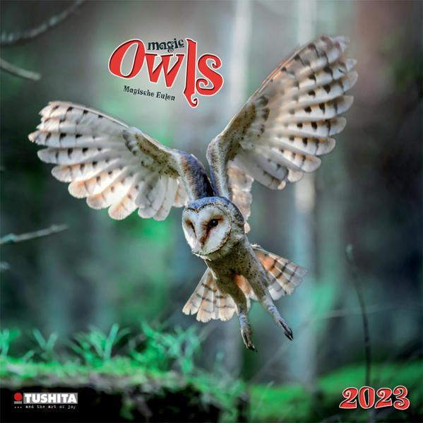 Magic Owls 2023