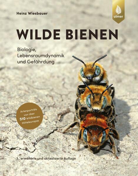 Wilde Bienen