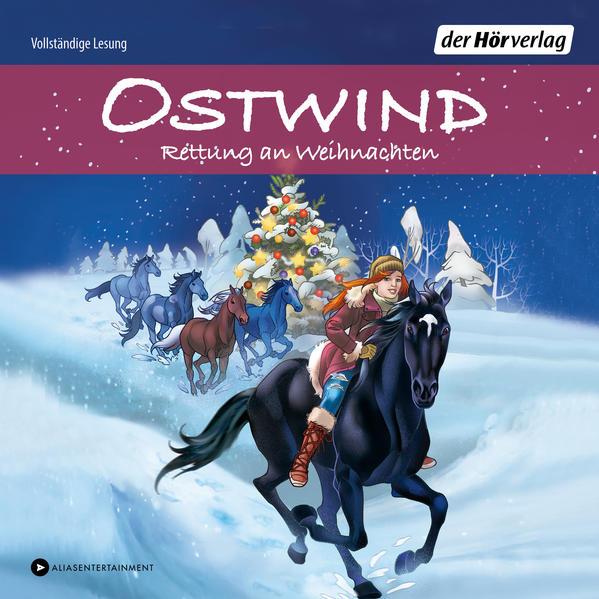 Ostwind - Rettung an Weihnachten, 3 Audio-CD