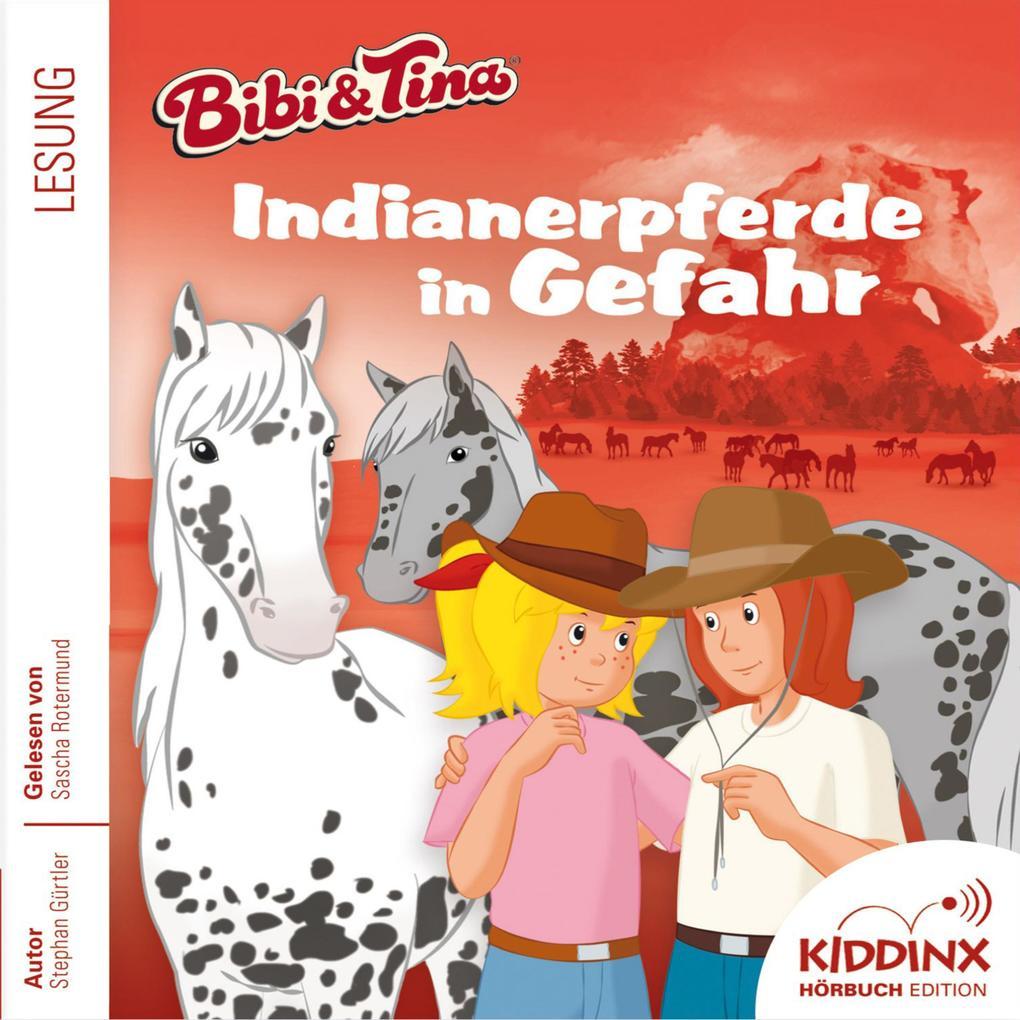 Indianerpferde in Gefahr