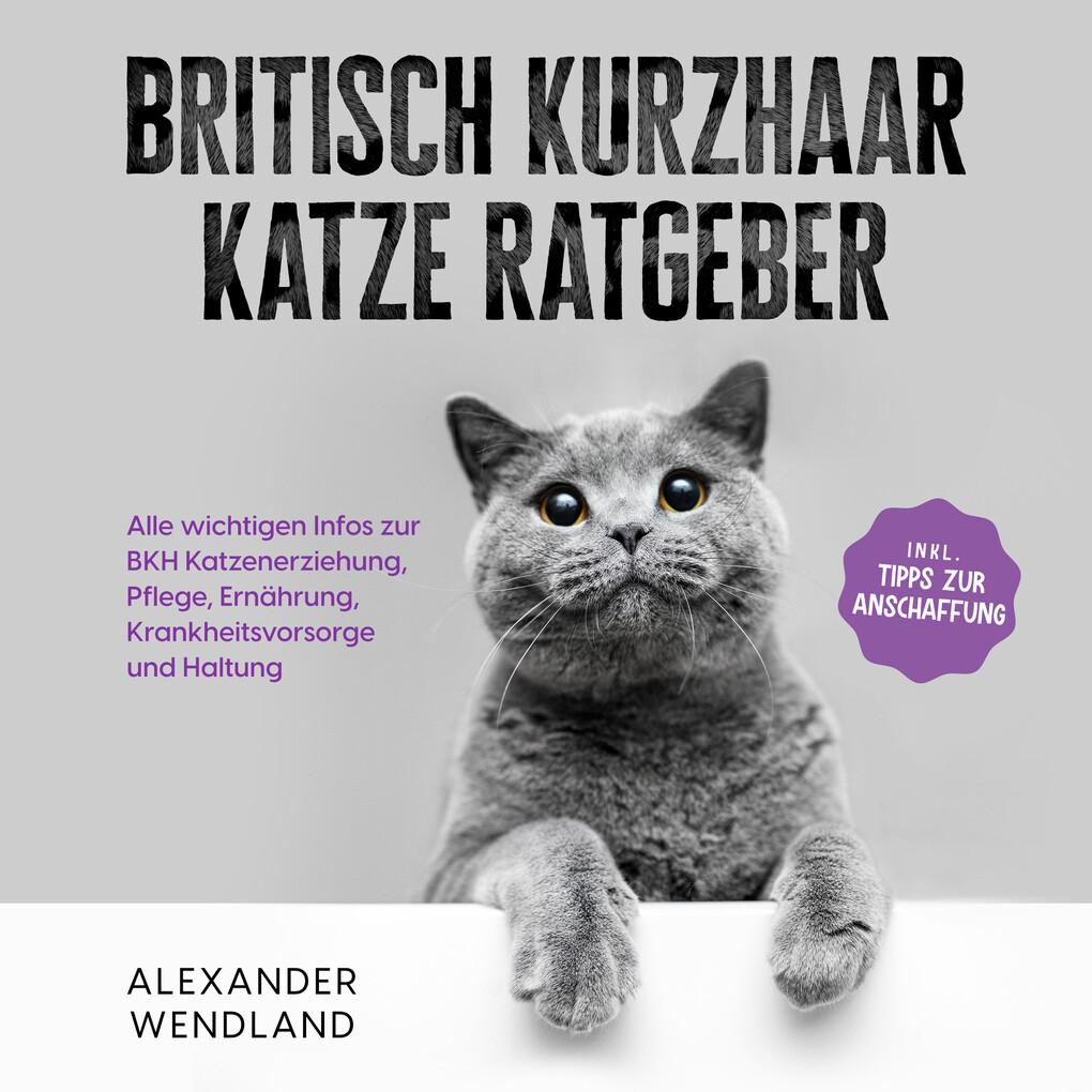 Britisch Kurzhaar Katze Ratgeber: Alle wichtigen Infos zur BKH Katzenerziehung, Pflege, Ernährung, Krankheitsvorsorge und Haltung - inkl. Tipps zur Anschaffung