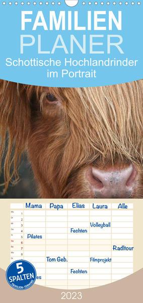 Familienplaner Schottische Hochlandrinder - Highland Cattle im Portrait (Wandkalender 2023 , 21 cm x