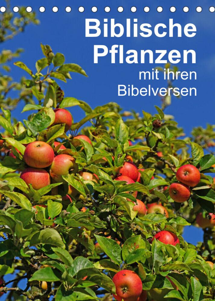 Biblische Pflanzen mit ihren Bibelversen (Tischkalender 2023 DIN A5 hoch)