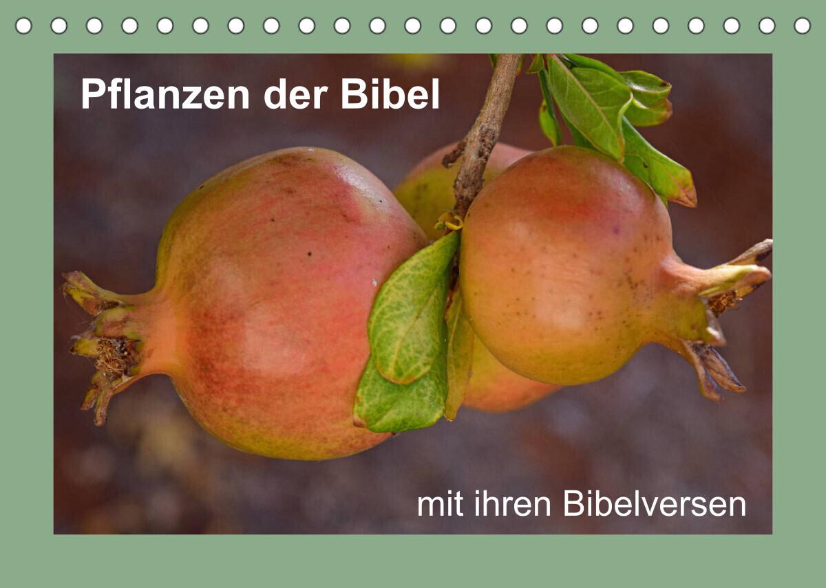 Pflanzen der Bibel (Tischkalender 2023 DIN A5 quer)