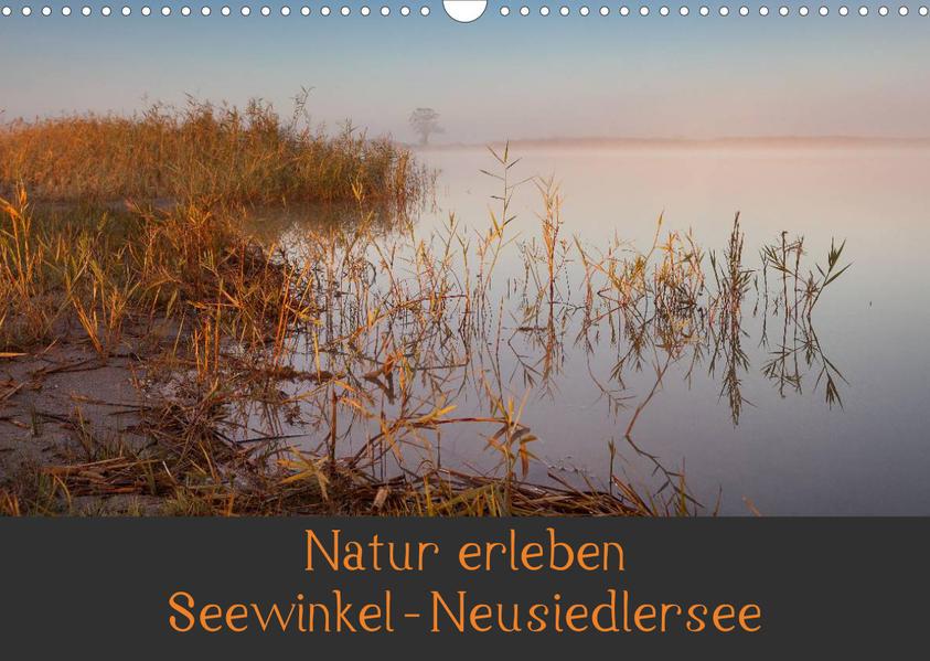 Natur erleben Seewinkel-Neusiedlersee (Wandkalender 2023 DIN A3 quer)