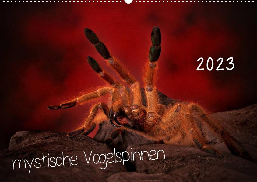 Mystische Vogelspinnen (Wandkalender 2023 DIN A2 quer)