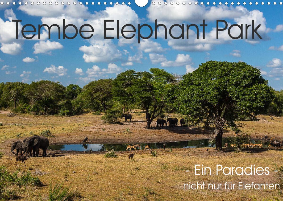 Tembe Elephant Park. Ein Paradies - nicht nur für Elefanten (Wandkalender 2023 DIN A3 quer)