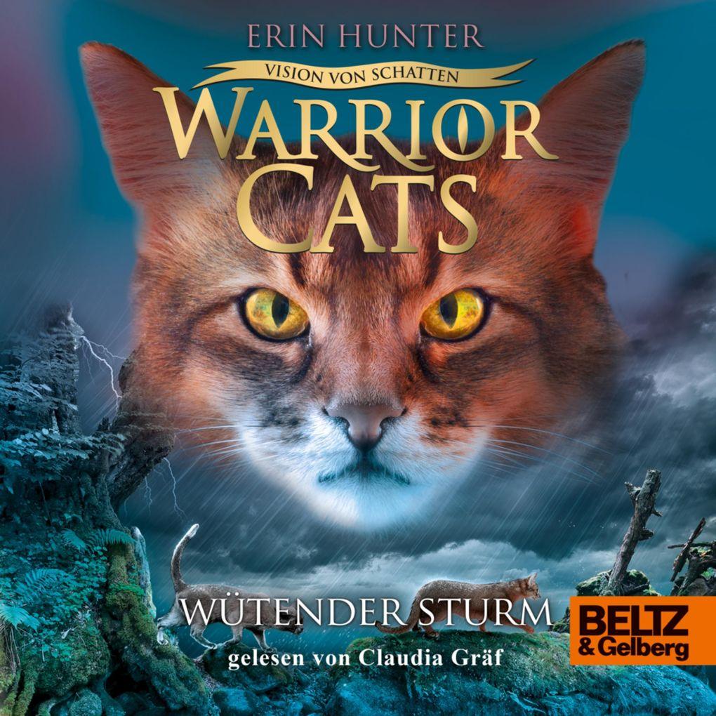 Warrior Cats - Vision von Schatten. Wütender Sturm