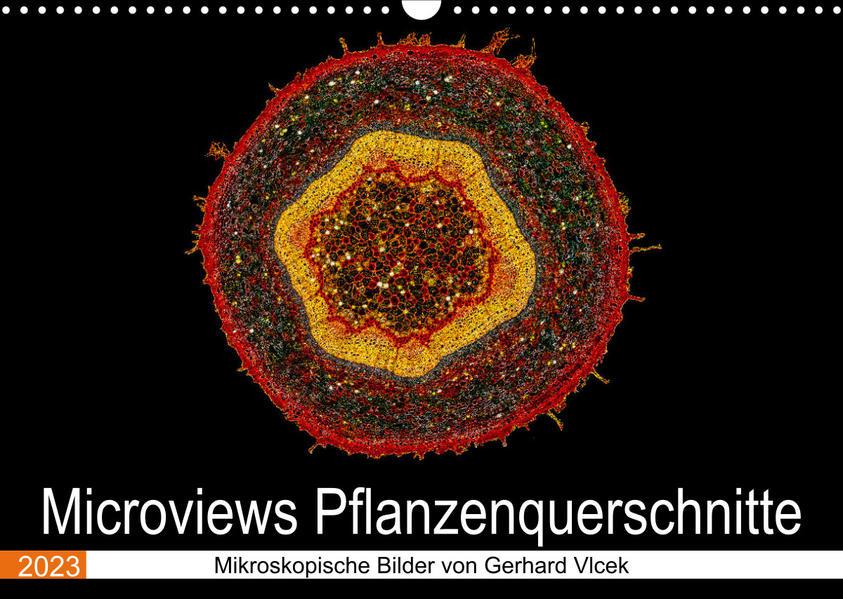 Microviews - Pflanzenquerschnitte (Wandkalender 2023 DIN A3 quer)