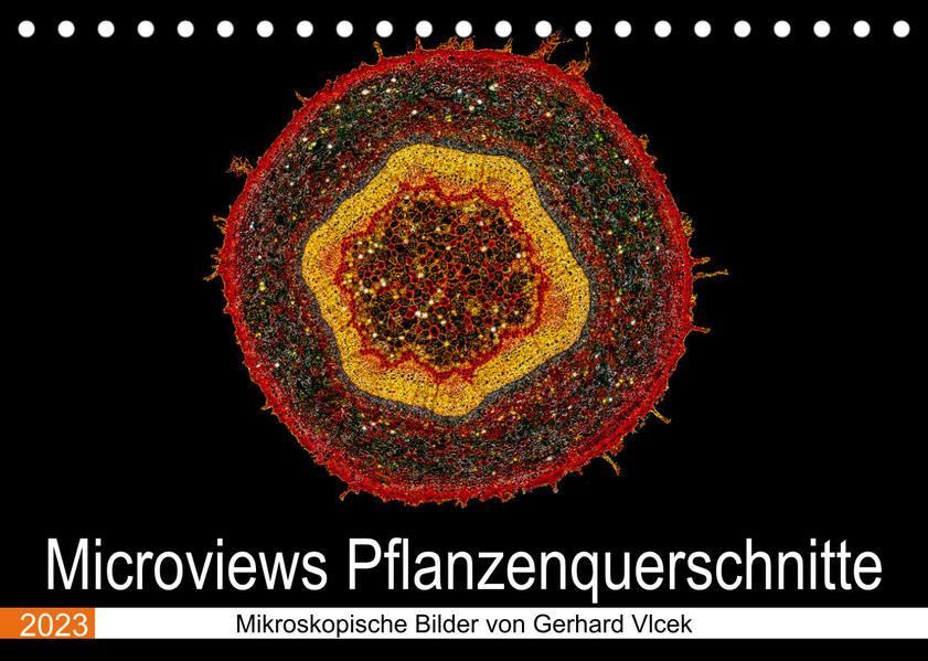 Microviews - Pflanzenquerschnitte (Tischkalender 2023 DIN A5 quer)