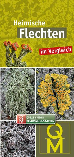 10er-Set: Heimische Flechten im Vergleich