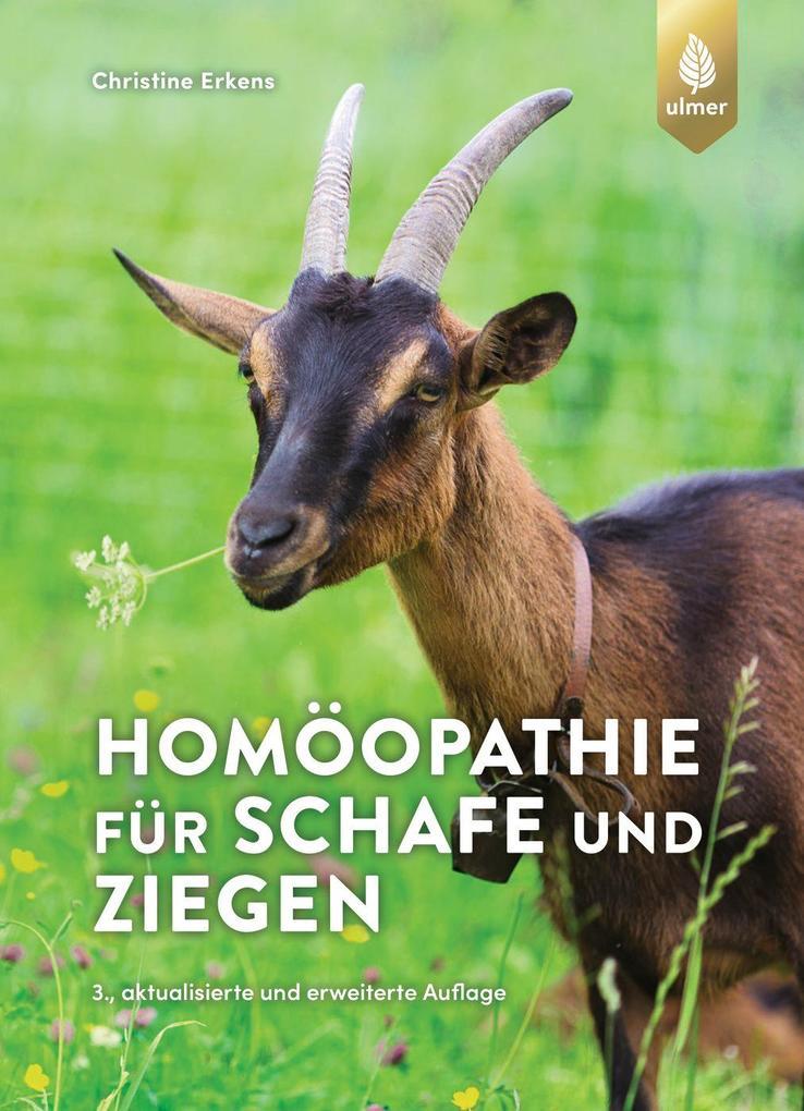 Homöopathie für Schafe und Ziegen