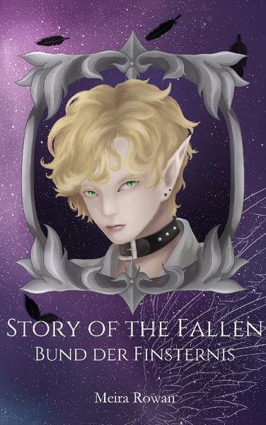 Story of the Fallen