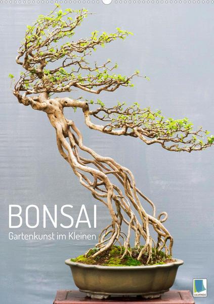 Bonsai: Gartenkunst im Kleinen (Wandkalender 2023 DIN A2 hoch)